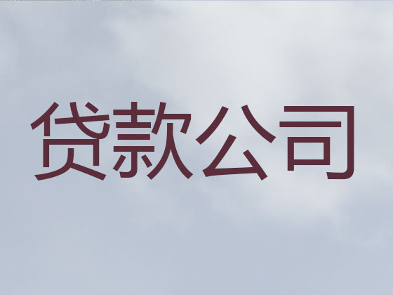 宜城市抵押担保贷款-信用贷款